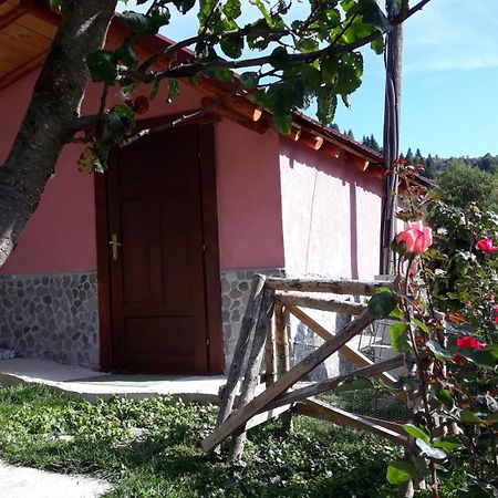 Villa Vrbena 외부 사진